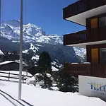 Bellevue - Traditional Swiss Hideaway 3* Wengen
