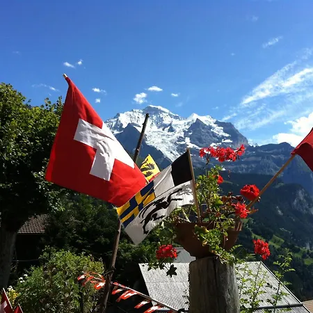 Bellevue - Traditional Swiss Hideaway