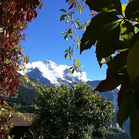 Hotel Bellevue - Traditional Swiss Hideaway Wengen