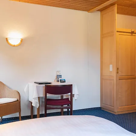 Bellevue - Traditional Swiss Hideaway 3* 翁根