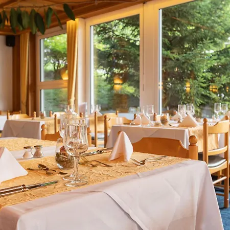 Hotel Bellevue - Traditional Swiss Hideaway Wengen