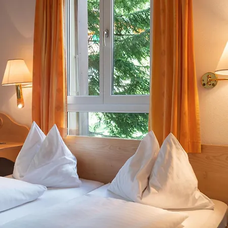 Ξενοδοχείο Bellevue - Traditional Swiss Hideaway