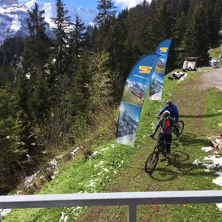 Bellevue - Traditional Swiss Hideaway 酒店 3*