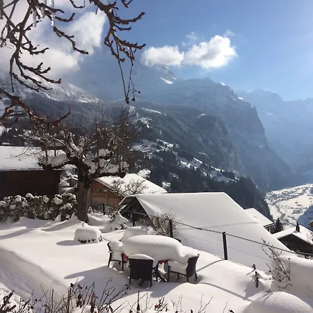 Ξενοδοχείο Bellevue - Traditional Swiss Hideaway 3*