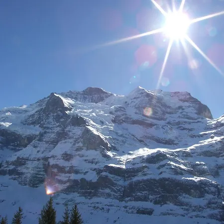 Bellevue - Traditional Swiss Hideaway Hotel 3*