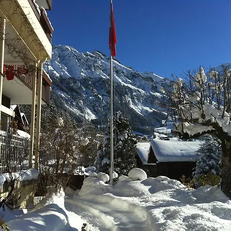 Bellevue - Traditional Swiss Hideaway Hotel Wengen
