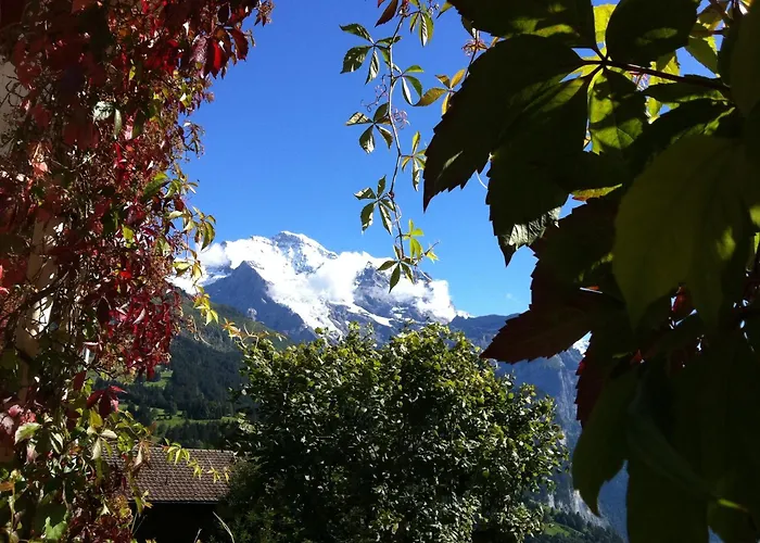 Hotel Bellevue - Traditional Swiss Hideaway Wengen