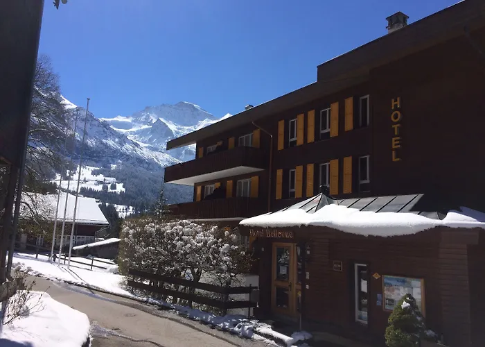 Hotel Bellevue - Traditional Swiss Hideaway 3*