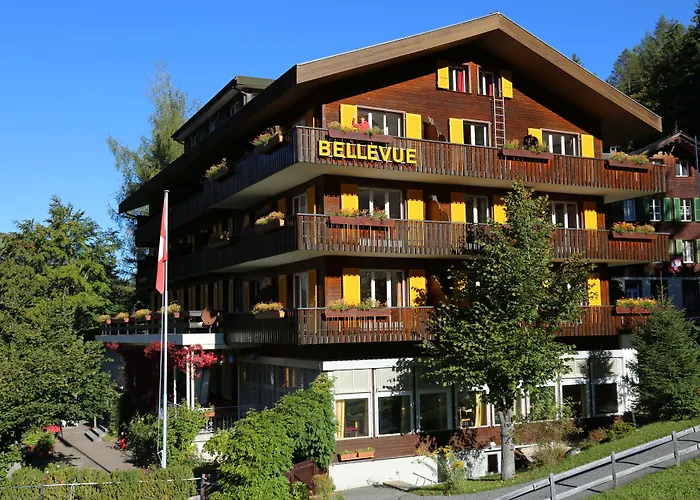 Bellevue - Traditional Swiss Hideaway 3*