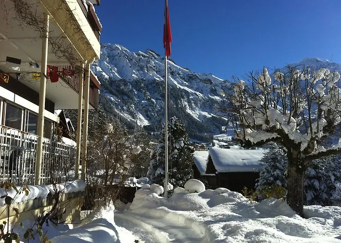 Bellevue - Traditional Swiss Hideaway Hotel Wengen